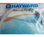     - TigerShark Hayward_2